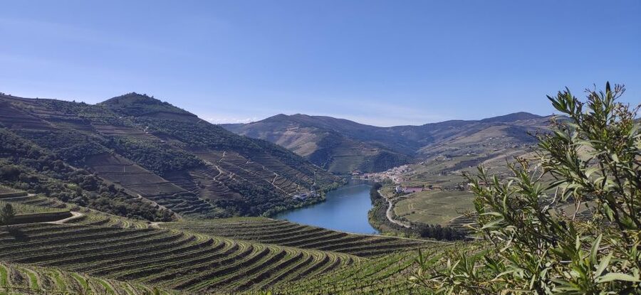 Pinhão: Douro Valley with Wine Tasting, Boat Trip and Lunch - Why This Douro Valley Day Feels Efficient (and Still Full)