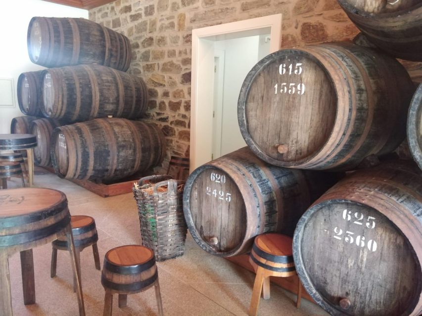 Pinhão: Douro Valley with Wine Tasting, Boat Trip and Lunch - Transportation, Timing, and Group Flow (What to Know)