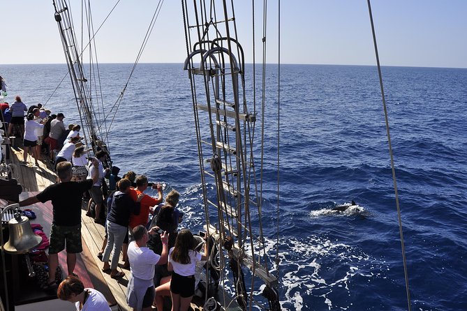 Pirate Adventure Boat Tour with Lunch in Fuerteventura - The Best Parts for Families: Interaction, Music, and Kids Who Want Action