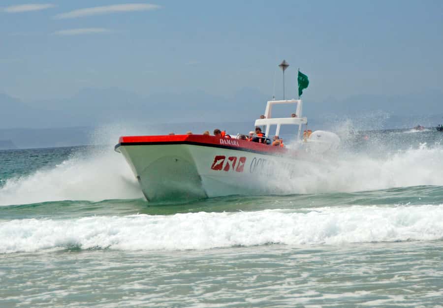 Plettenberg Bay: Dolphin and Marine Boat Tour - Heading to Ocean Blue Adventures for a salt-air start