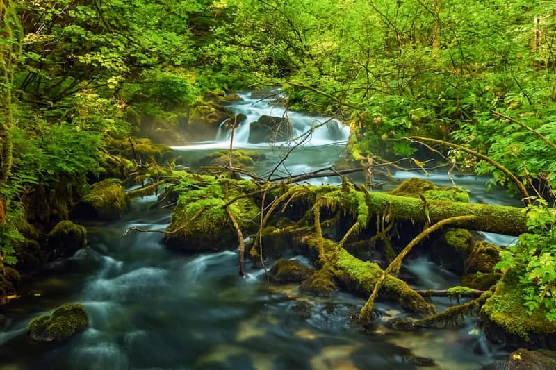 Plitvice Lakes: Guided Walking Tour with Train and Boat Ride - Key things to know before you go