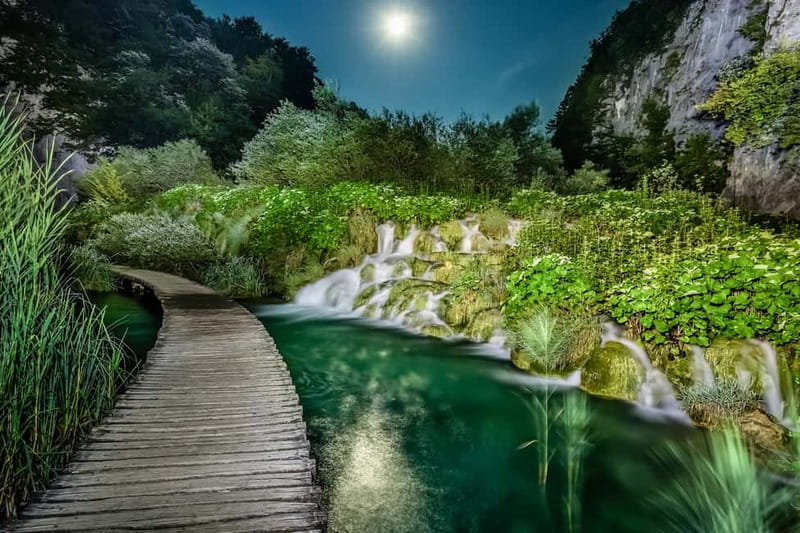 Plitvice Lakes: Guided Walking Tour with Train and Boat Ride - Entrance 1 and the Circular Walking Plan: Where the Day Starts and Why It Matters