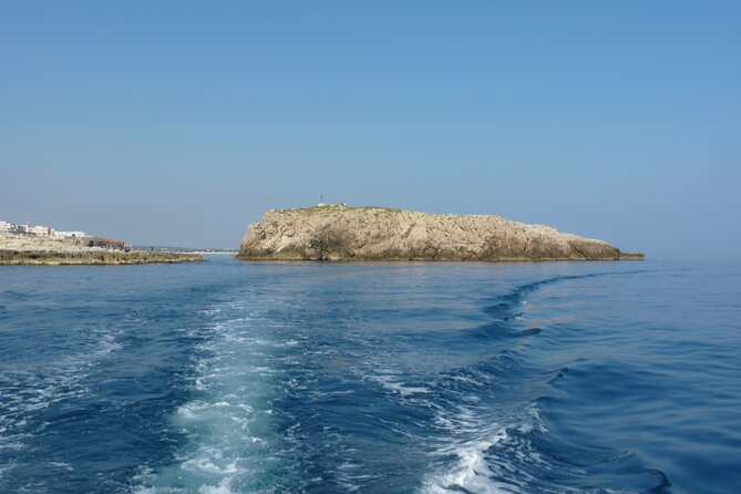 Polignano a Mare boat tour emotions, caves, diving and appetizers - Entering Polignano a Mare from the water: small-group, big views