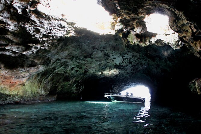 Polignano a Mare boat tour emotions, caves, diving and appetizers - Swim and snorkel time: gear is provided, but the sea decides the mood