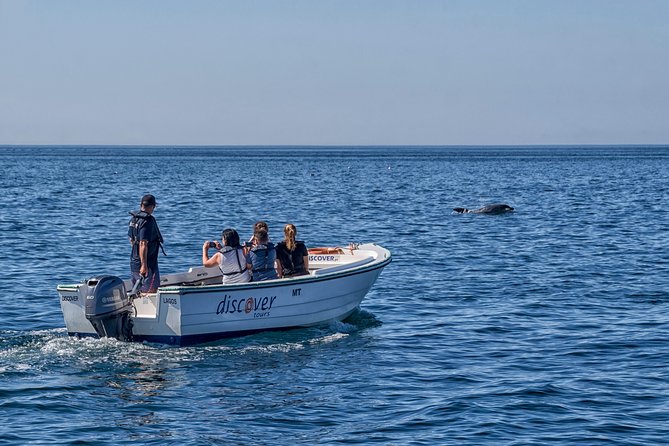 Ponta da Piedade Boat Tour to Caves and Beaches with Local Guide - Boarding in Lagos Marina: Fast Start, Clear Focus