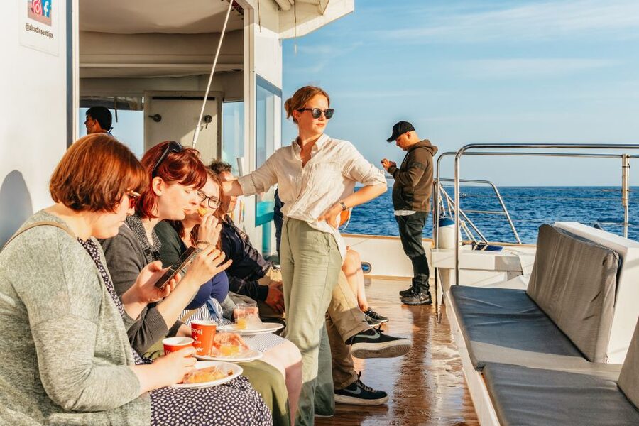Port d'Alcudia: Sunrise at Sea & Dolphin Watching Boat Tour - Key things to know before you go