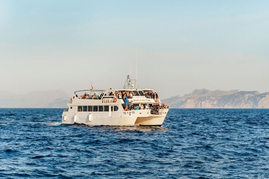Port d'Alcudia: Sunrise at Sea & Dolphin Watching Boat Tour - The first hour offshore: catamaran time in the dark (and why it’s worth it)