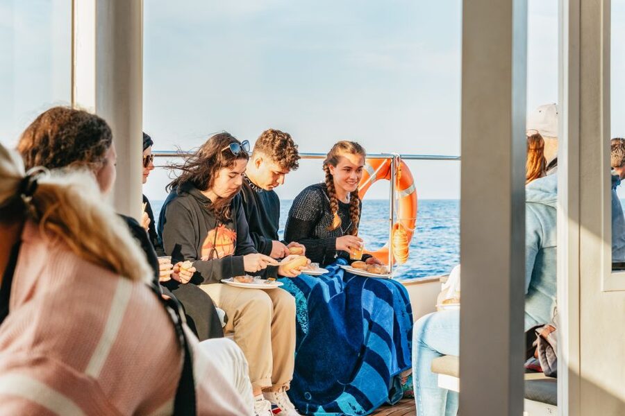 Port d'Alcudia: Sunrise at Sea & Dolphin Watching Boat Tour - Chasing dolphins (the respectful way): what the wild-spot time actually feels like