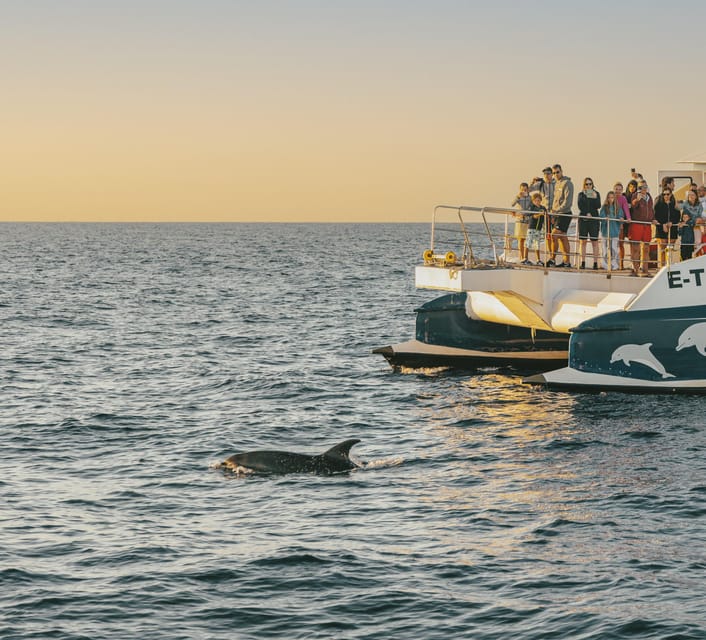 Port d'Alcudia: Sunrise at Sea & Dolphin Watching Boat Tour - Where you meet: Passeig Marítim and the Alcudia Sea Trips kiosk
