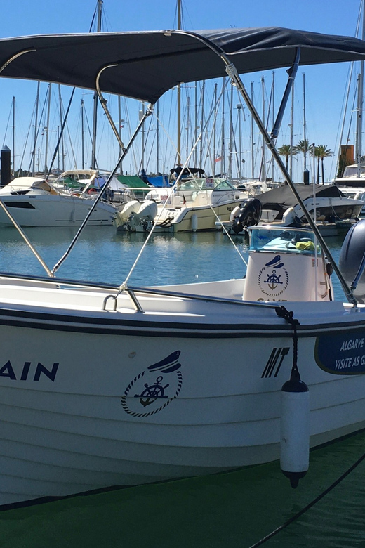 Portimão: Caves, Benagil and Algarve Coastline Boat Tour - Snorkeling and swimming: How to make the most of the underwater stop