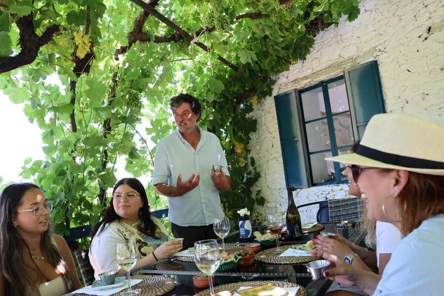 Porto: Douro Valley, 2 Wineries, Lunch, and 1-Hour Boat Tour - Stop 1 in Provesende: boutique tastings and local products