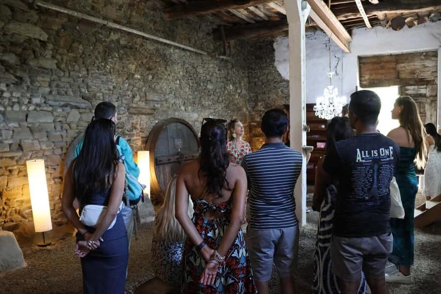Porto: Douro Valley, 2 Wineries, Lunch, and 1-Hour Boat Tour - A traditional lunch in a real restaurant (with dietary options)