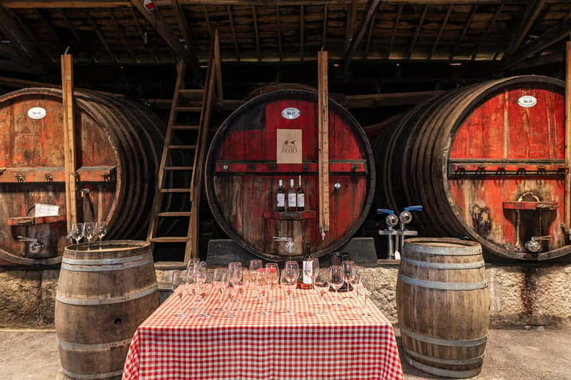 Porto: Douro Valley, 2 Wineries, Lunch & Private Boat Trip - What to bring and how to plan around the alcohol focus