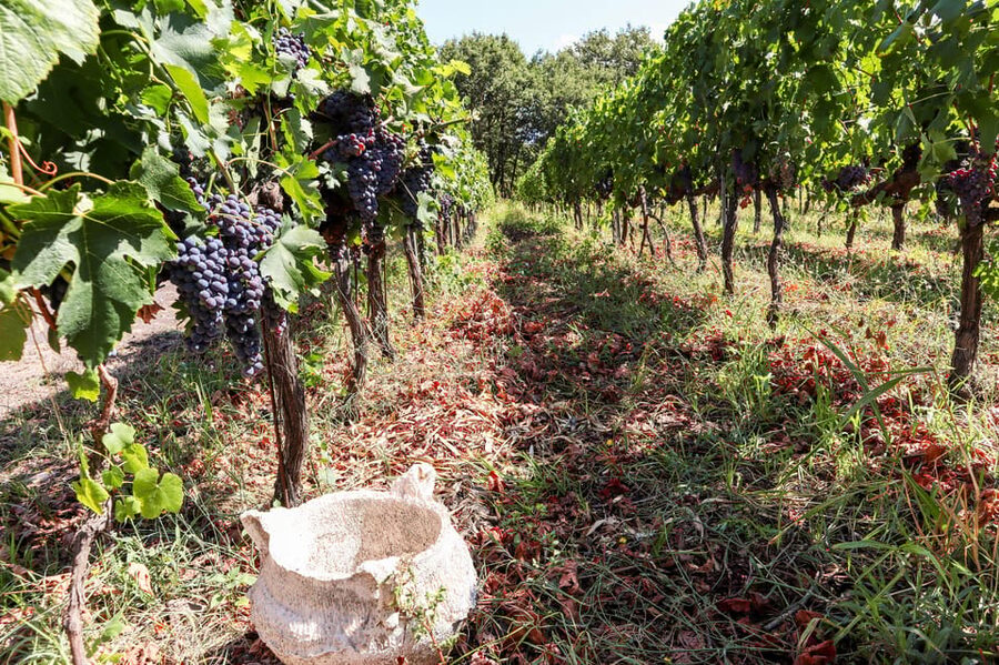 Porto: Douro Valley Wine Tour with a Sommelier & Boat Trip - The tastings: 15 different wines, ports, and hands-on showpieces