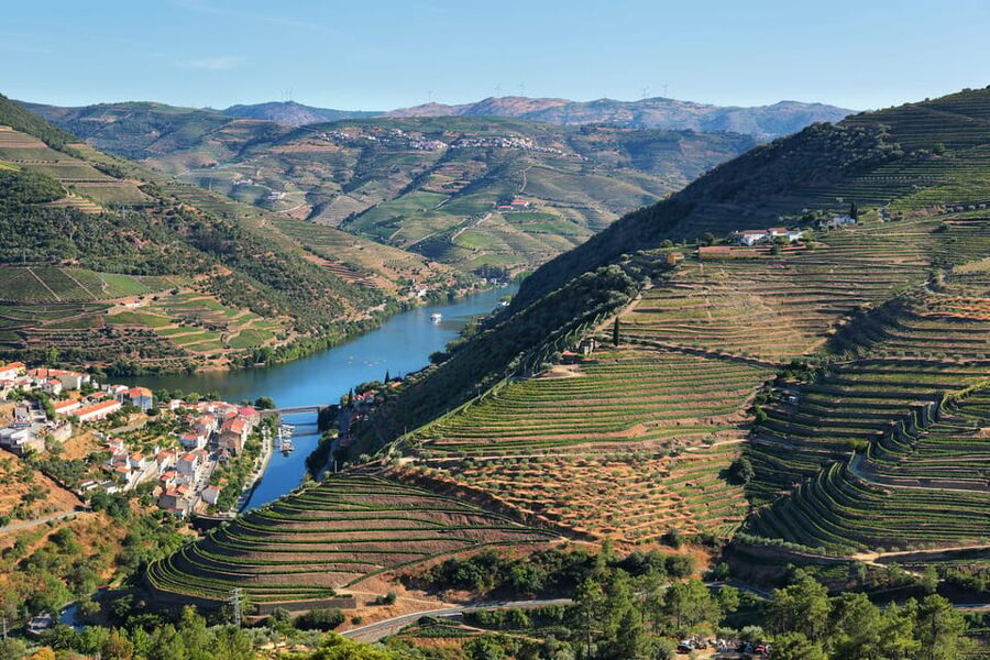 Porto: Douro Valley Wine Tour with a Sommelier & Boat Trip - The sommelier driver angle: more than a chauffeur