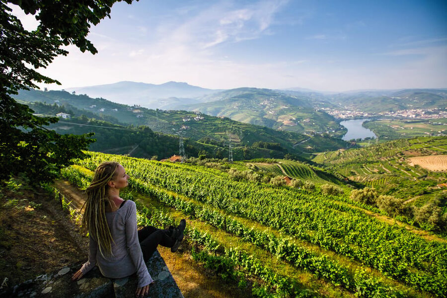 Porto: Douro Valley Wine Tour with a Sommelier & Boat Trip - Penafiel and Vinho Verde: meeting the winery owners first