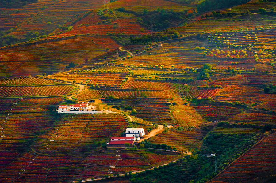 Porto: Douro Valley Wine Tour with a Sommelier & Boat Trip - The 1-hour Douro River boat cruise in Pinhão