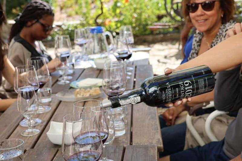 Porto: Douro Valley with Small Wineries, Lunch and Boat Tour - Key Highlights You’ll Actually Care About