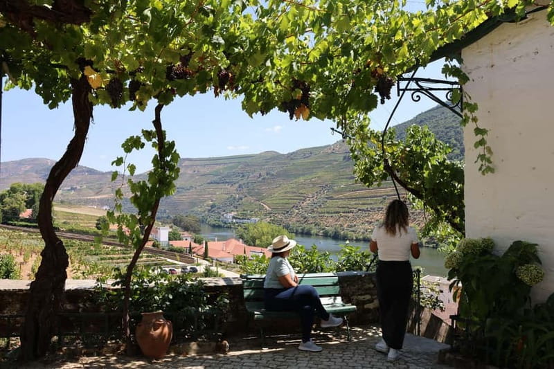 Porto: Douro Valley with Small Wineries, Lunch and Boat Tour - Who This Douro Valley Tour Suits Best