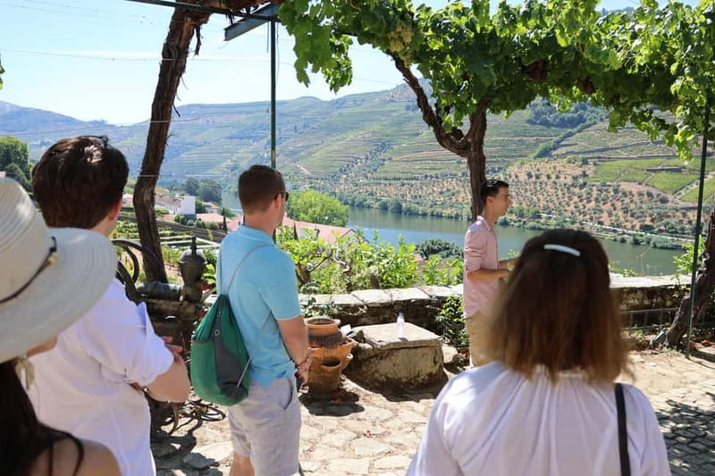 Porto: Douro Valley with Small Wineries, Lunch and Boat Tour - Winery Tastings: How the Small-Estate Format Pays Off