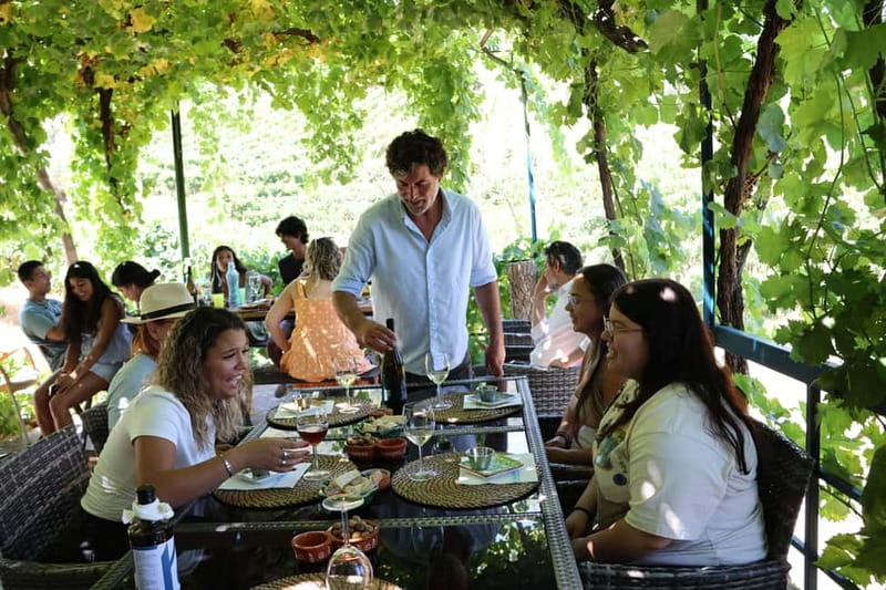 Porto: Douro Valley with Small Wineries, Lunch and Boat Tour - Price and Value: What the $111 Includes (and What It Doesn’t)