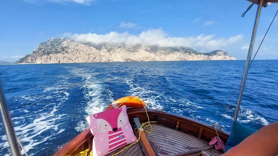 Porto San Paolo: Half Day Boat Tour to Tavolara and Molara - Cruise to Tavolara Bay: the cliffs, the sea arch, and the best views
