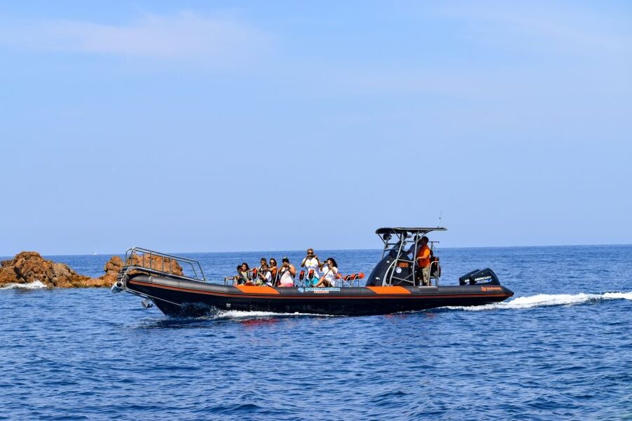 Porto: Scandola and Calanches of Piana Boat Trip - Price and Value: What You’re Really Paying For