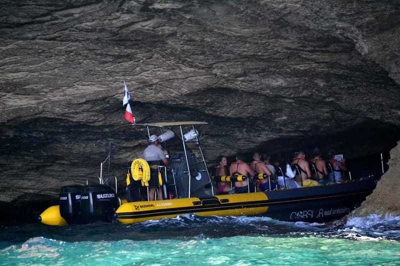 Porto-Vecchio : Boat Trip to Lavezzi, Caves & Bonifacio - Cerbicales Islands: seabirds from the boat