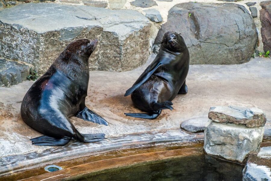 Prague: Boat Ride to the Zoo and Admission Ticket - Quick hits you’ll care about