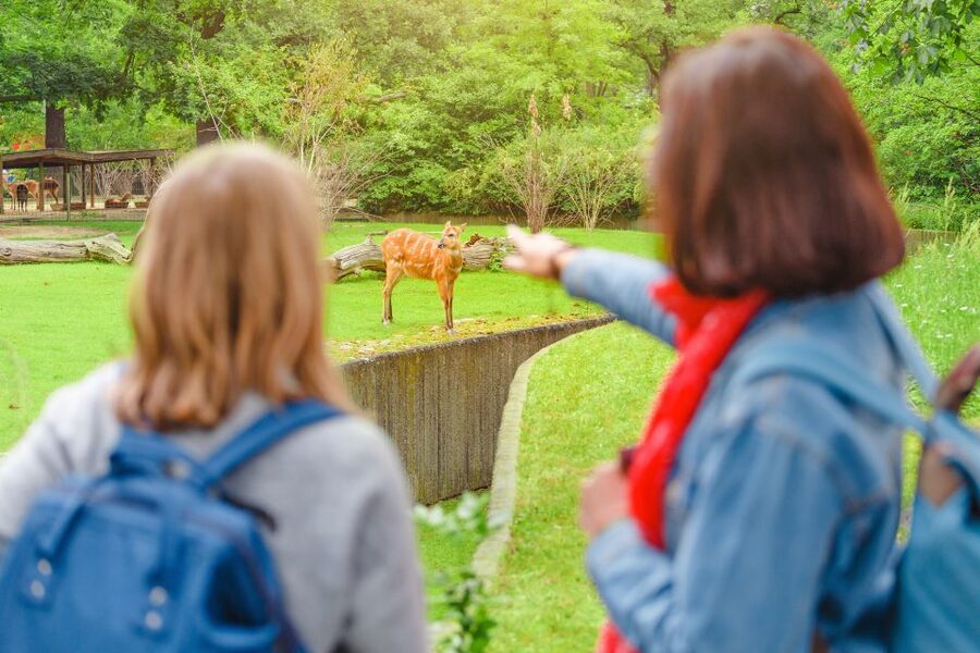 Prague: Boat Ride to the Zoo and Admission Ticket - The zoo you’ll actually want to see: Indonesian Jungle to Elephant Valley