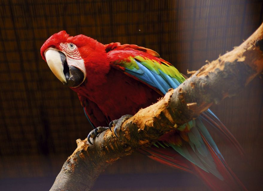 Prague: Boat Ride to the Zoo and Admission Ticket - How long you need at the zoo (and how to pace it)