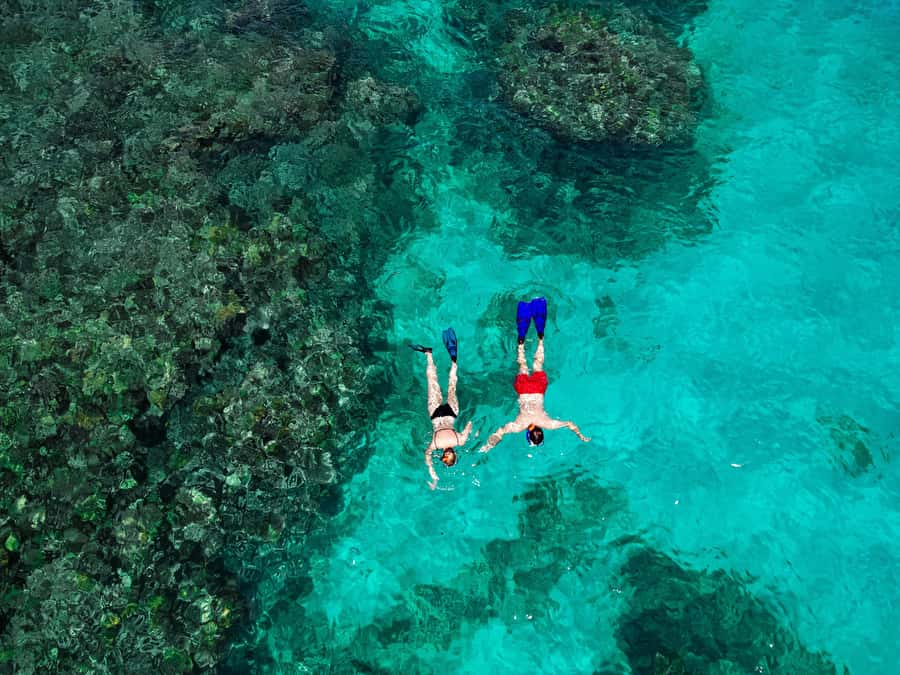 Praslin: Curieuse & St. Pierre Full-Day Boat Trip with Lunch - Why Curieuse and St. Pierre make a great one-day pairing