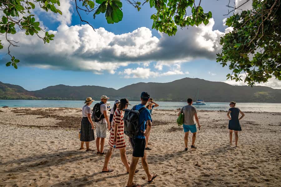 Praslin: Curieuse & St. Pierre Full-Day Boat Trip with Lunch - St. Pierre snorkeling: what you’re likely to see above and below the waterline