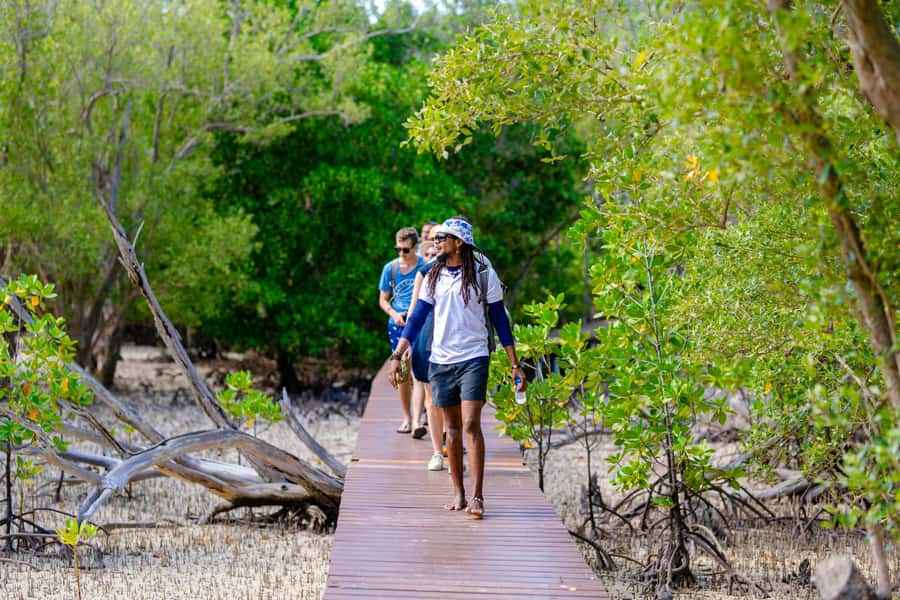 Praslin: Curieuse & St. Pierre Full-Day Boat Trip with Lunch - The mangrove hike to a swimming beach (1.7 km of real scenery)