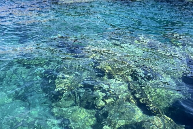 Private 3-hour boat tour to SANTA MARIA DI LEUCA - Weather and Operating Conditions: Plan for Flexibility