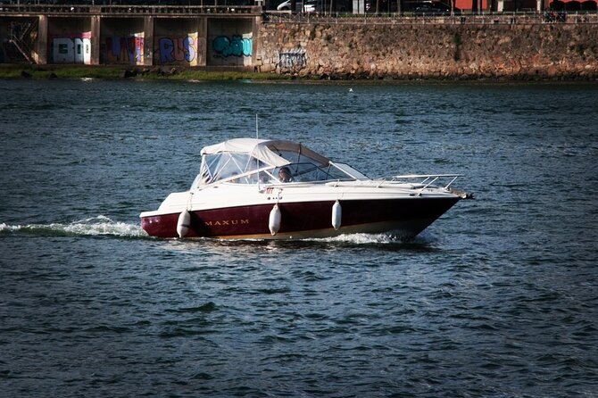 Private Boat Tour 6 Bridges and Ribeira option Sunset up to 6px - Ponte da Arrábida and the 1963 Concrete Arch Moment