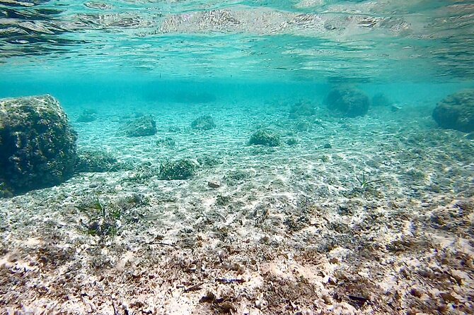 Private Boat Tour from Palma with Snorkeling and Paddle Surfing - Drinks, snacks, and how to judge value on a private boat