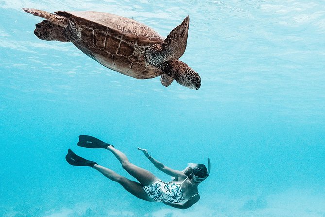 Private Boat Tour of Moorea Lagoon - Private Moorea Lagoon Tour: What Makes It Feel Different
