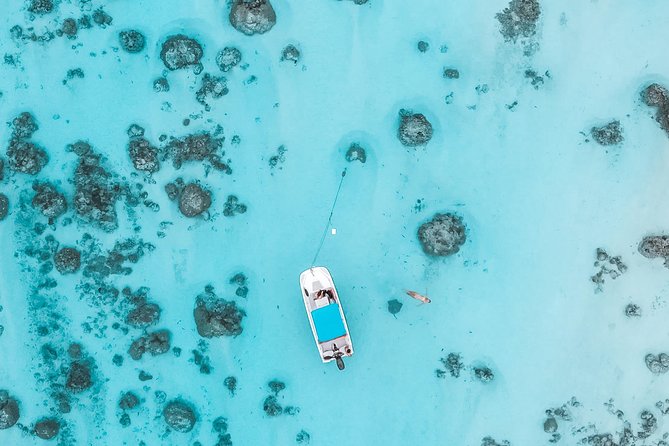 Private Boat Tour of Moorea Lagoon - GoPro Photos Emailed After: The Real Premium Add-On