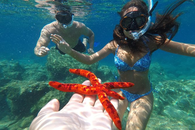 Private Boat Trip to Kas Islands including BBQ Lunch - Price and value: when this private boat is worth it