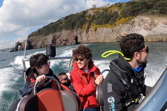 Private Coastal Boat Tour in Torquay - Stop 1: the engine-off moment for dolphins and porpoises