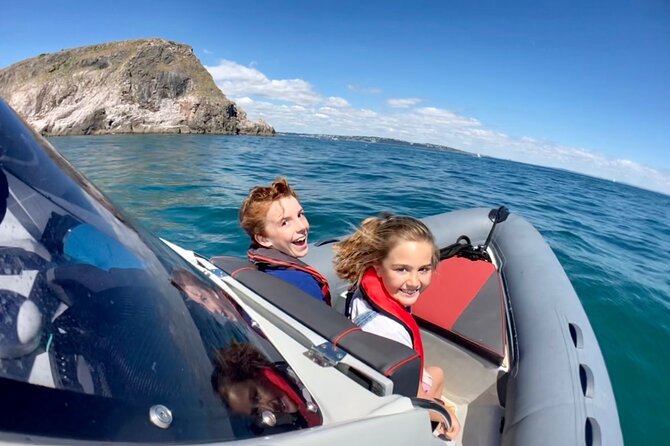 Private Coastal Boat Tour in Torquay - The skipper and the wildlife plan: why the commentary matters