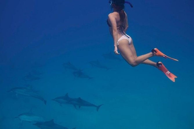 Private Dolphin House Boat Tour with Snorkeling & Lunch– Hurghada - Giftun Islands cruising and the Dolphin House visit: how the route works