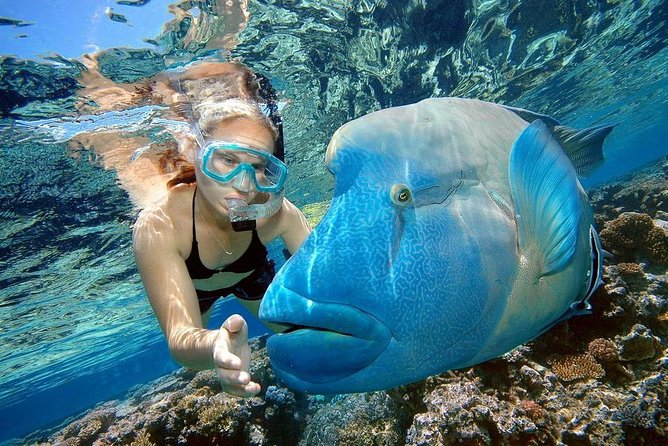 Private Dolphin House Boat Tour with Snorkeling & Lunch– Hurghada - Guided snorkeling with included gear: what you get (and what you control)