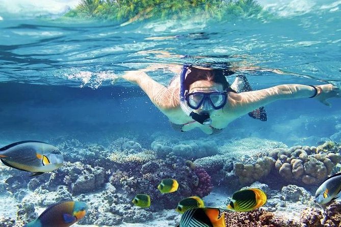 Private Dolphin House Boat Tour with Snorkeling & Lunch– Hurghada - Price and value: when $110 per person makes sense