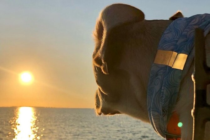 Private Dolphin Watch and Sunset Boat Tour Port Aransas Texas - Key highlights to know before you go