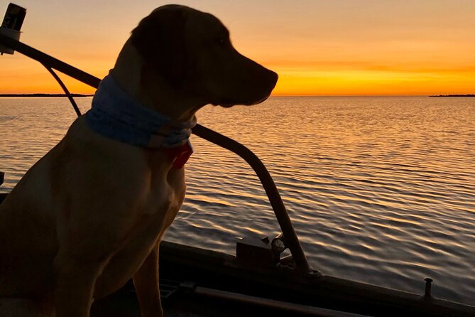 Private Dolphin Watch and Sunset Boat Tour Port Aransas Texas - Private Port Aransas boat time: what makes it feel different