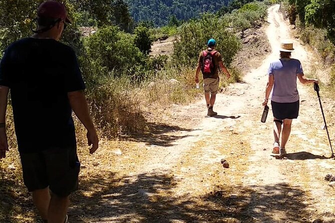 Private Douro and Porto 4x4 Tour with Wine Tasting and Boat Trip - Price and value: where $277.56 per person really lands