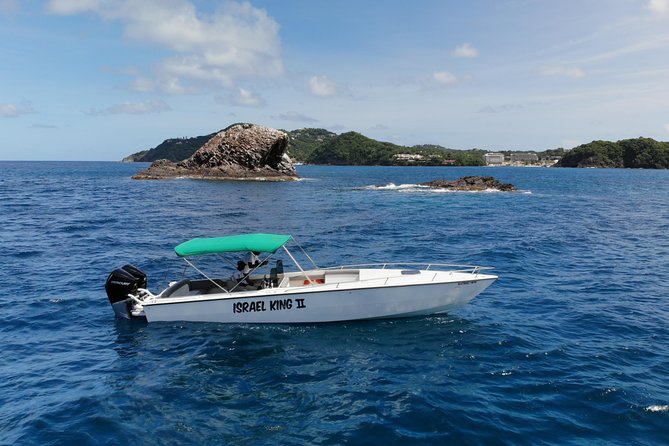 Private Full Day Charter: St Lucia Boat Tour to Soufriere - Private Soufrière Speedboat: What You’re Really Buying for $250 pp