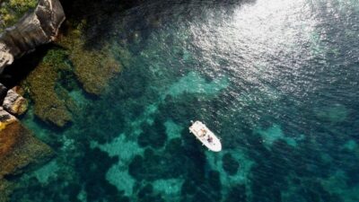 Procida: Boat Tour with Swimming Stops and Underwater Photos - Price and Value: Why $53 Can Work